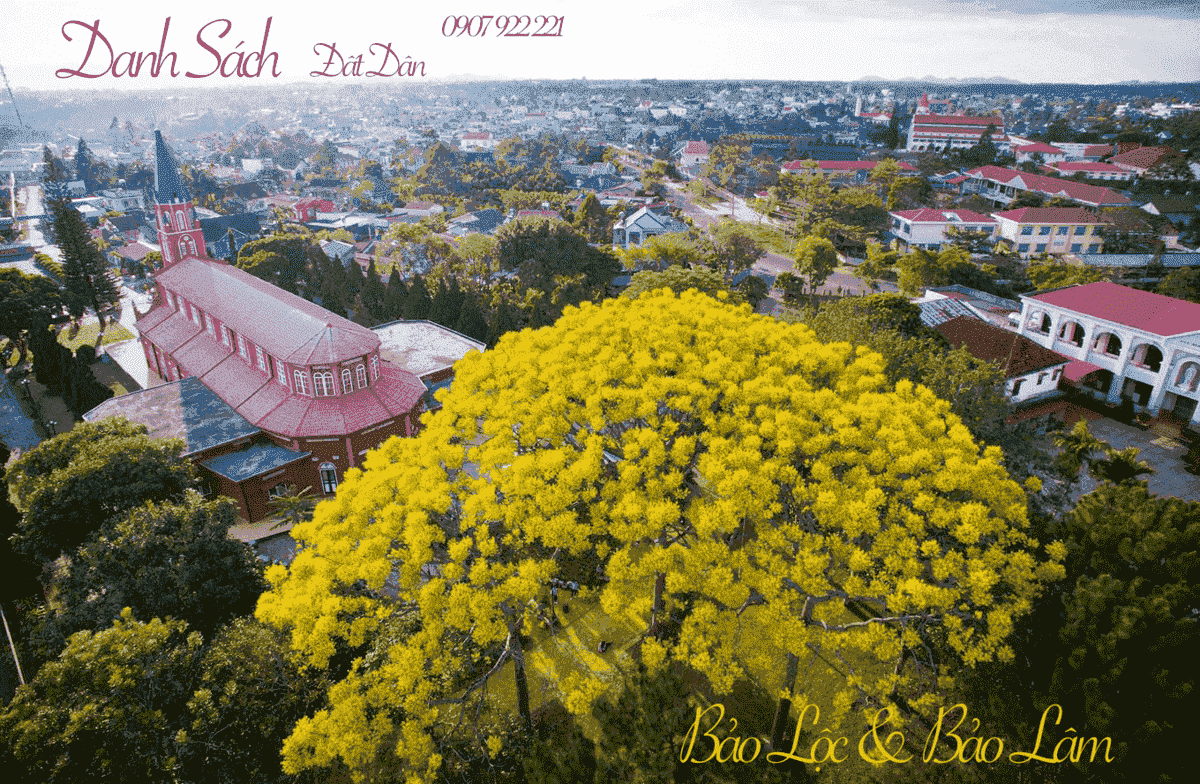 dat dan bao loc bao lam - MUA BÁN ĐẤT DÂN BẢO LỘC VÀ BẢO LÂM